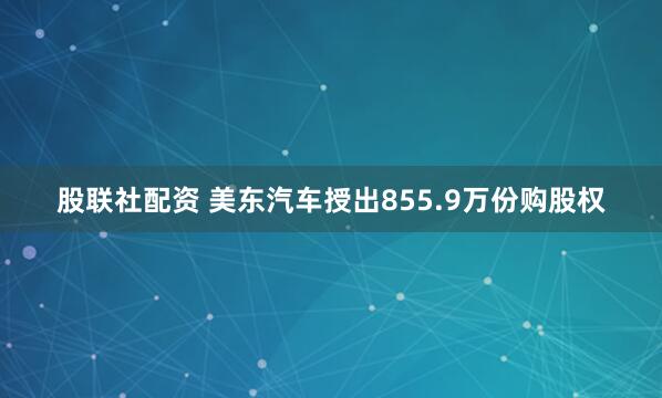 股联社配资 美东汽车授出855.9万份购股权