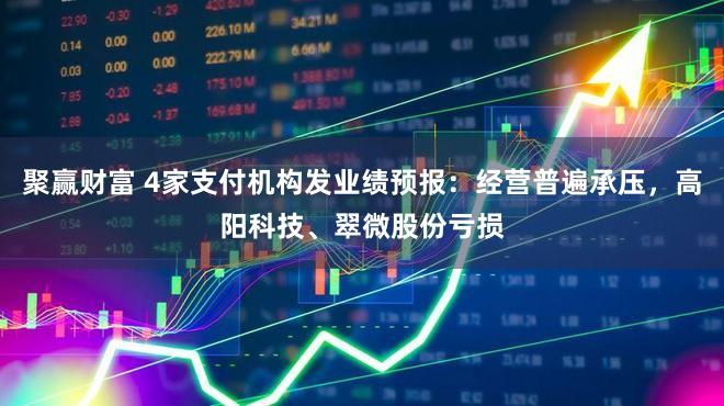 聚赢财富 4家支付机构发业绩预报：经营普遍承压，高阳科技、翠微股份亏损