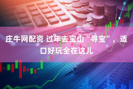 庄牛网配资 过年去宝山“寻宝”，适口好玩全在这儿