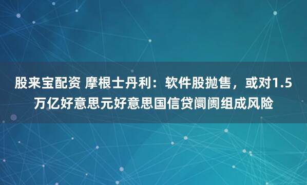 股来宝配资 摩根士丹利：软件股抛售，或对1.5万亿好意思元好意思国信贷阛阓组成风险