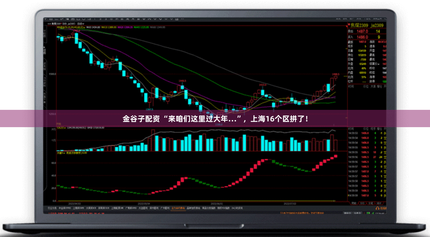 金谷子配资 “来咱们这里过大年…”,上海16个区拼了!