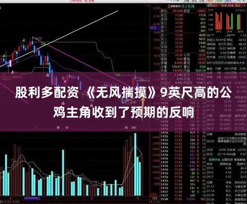 股利多配资 《无风揣摸》9英尺高的公鸡主角收到了预期的反响