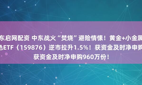 东启网配资 中东战火“焚烧”避险情愫！黄金+小金属领涨，有色ETF（159876）逆市拉升1.5%！获资金及时净申购960万份！
