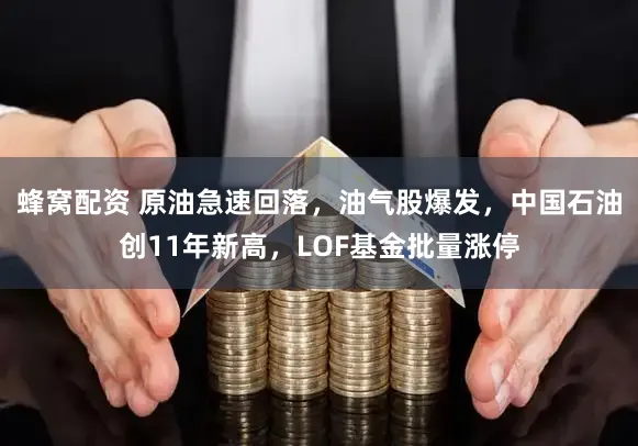 蜂窝配资 原油急速回落，油气股爆发，中国石油创11年新高，LOF基金批量涨停