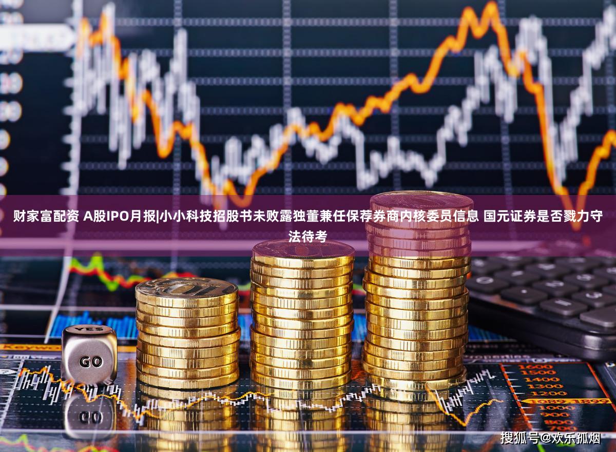 财家富配资 A股IPO月报|小小科技招股书未败露独董兼任保荐券商内核委员信息 国元证券是否戮力守法待考