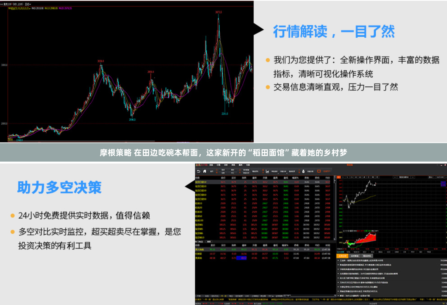 摩根策略 在田边吃碗本帮面，这家新开的“稻田面馆”藏着她的乡村梦