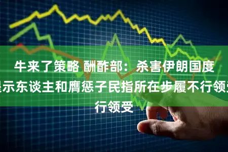 牛来了策略 酬酢部：杀害伊朗国度提示东谈主和膺惩子民指所在步履不行领受