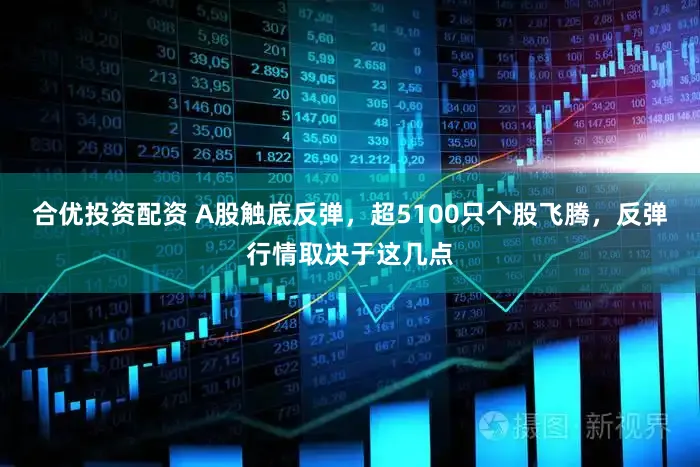 合优投资配资 A股触底反弹，超5100只个股飞腾，反弹行情取决于这几点
