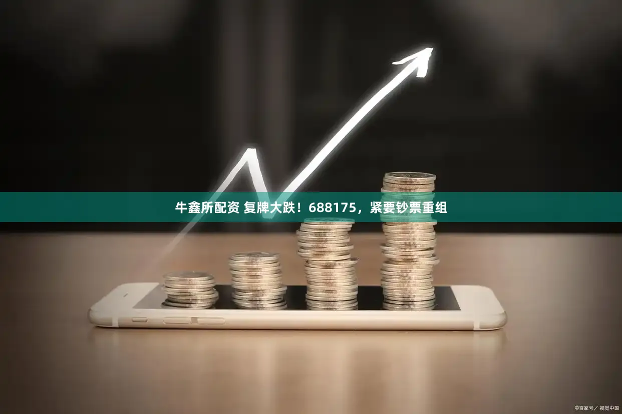 牛鑫所配资 复牌大跌!688175,紧要钞票重组