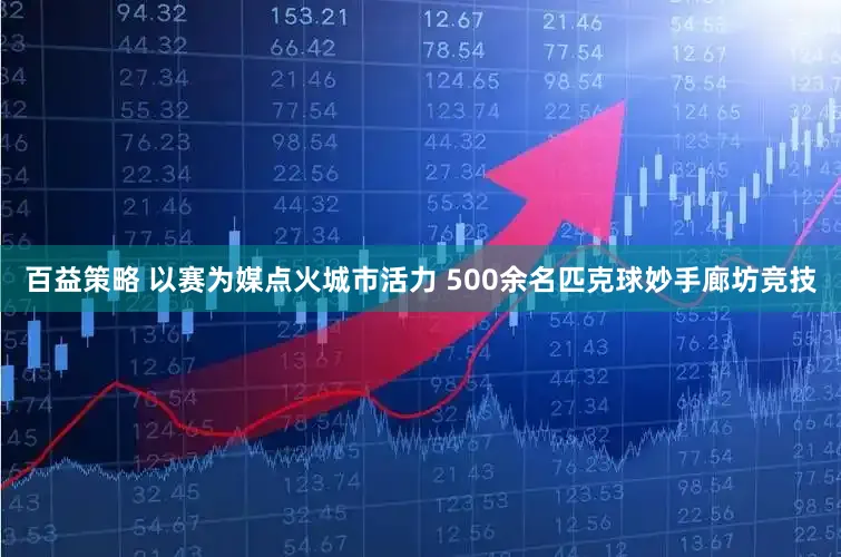 百益策略 以赛为媒点火城市活力 500余名匹克球妙手廊坊竞技