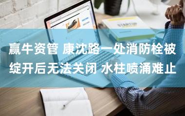 赢牛资管 康沈路一处消防栓被绽开后无法关闭 水柱喷涌难止
