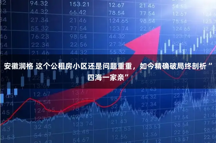 安徽润格 这个公租房小区还是问题重重,如今精确破局终剖析“四海一家亲”