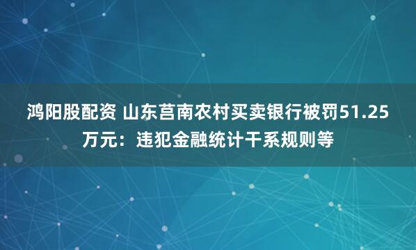 鸿阳股配资 山东莒南农村买卖银行被罚51.25万元:违犯金融统计干系规则等