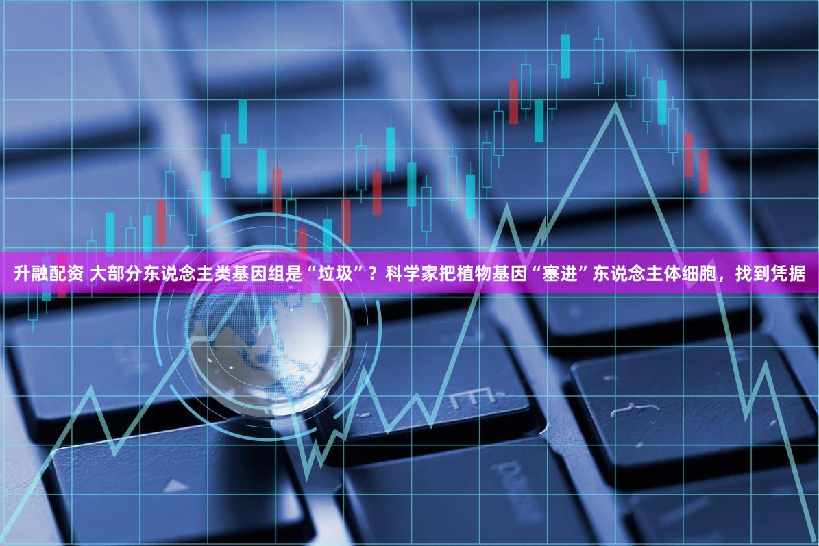 升融配资 大部分东说念主类基因组是“垃圾”？科学家把植物基因“塞进”东说念主体细胞，找到凭据