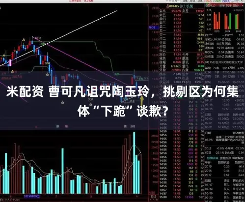 米配资 曹可凡诅咒陶玉玲，挑剔区为何集体“下跪”谈歉？