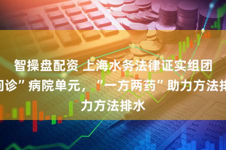 智操盘配资 上海水务法律证实组团“问诊”病院单元，“一方两药”助力方法排水